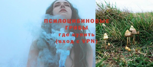 круглые Алзамай