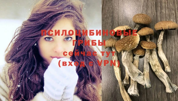 круглые Алексеевка