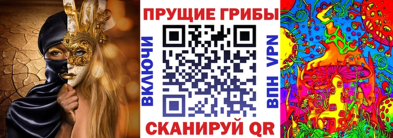 Псилоцибиновые грибы Psilocybine cubensis  хочу   mega ONION  Сухой Лог 